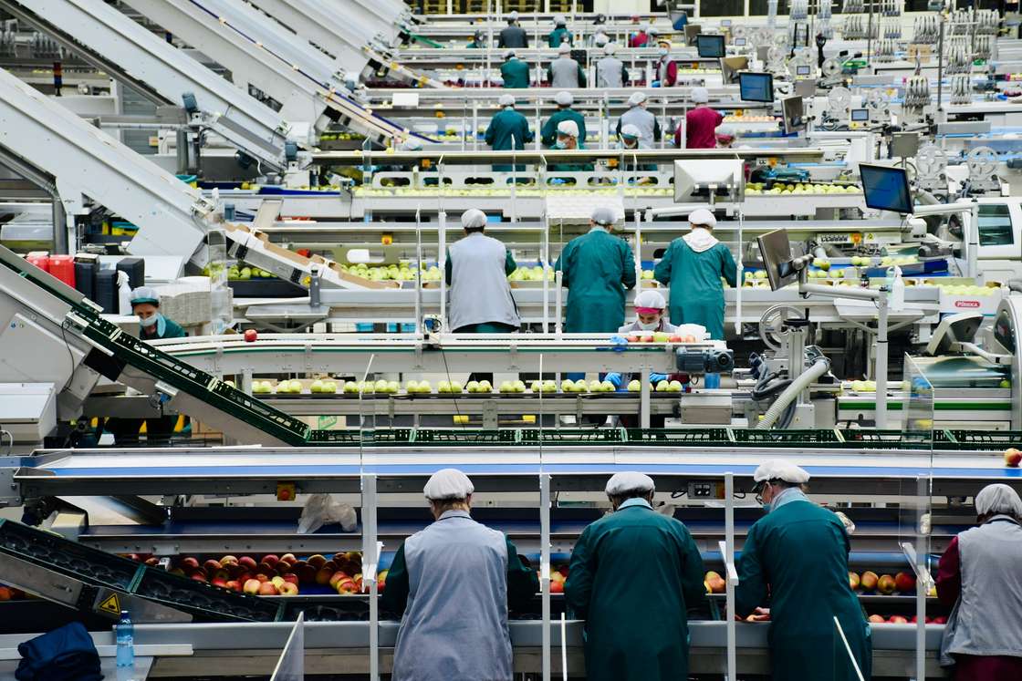Workers in workwear at a sorting line, seen from behind
