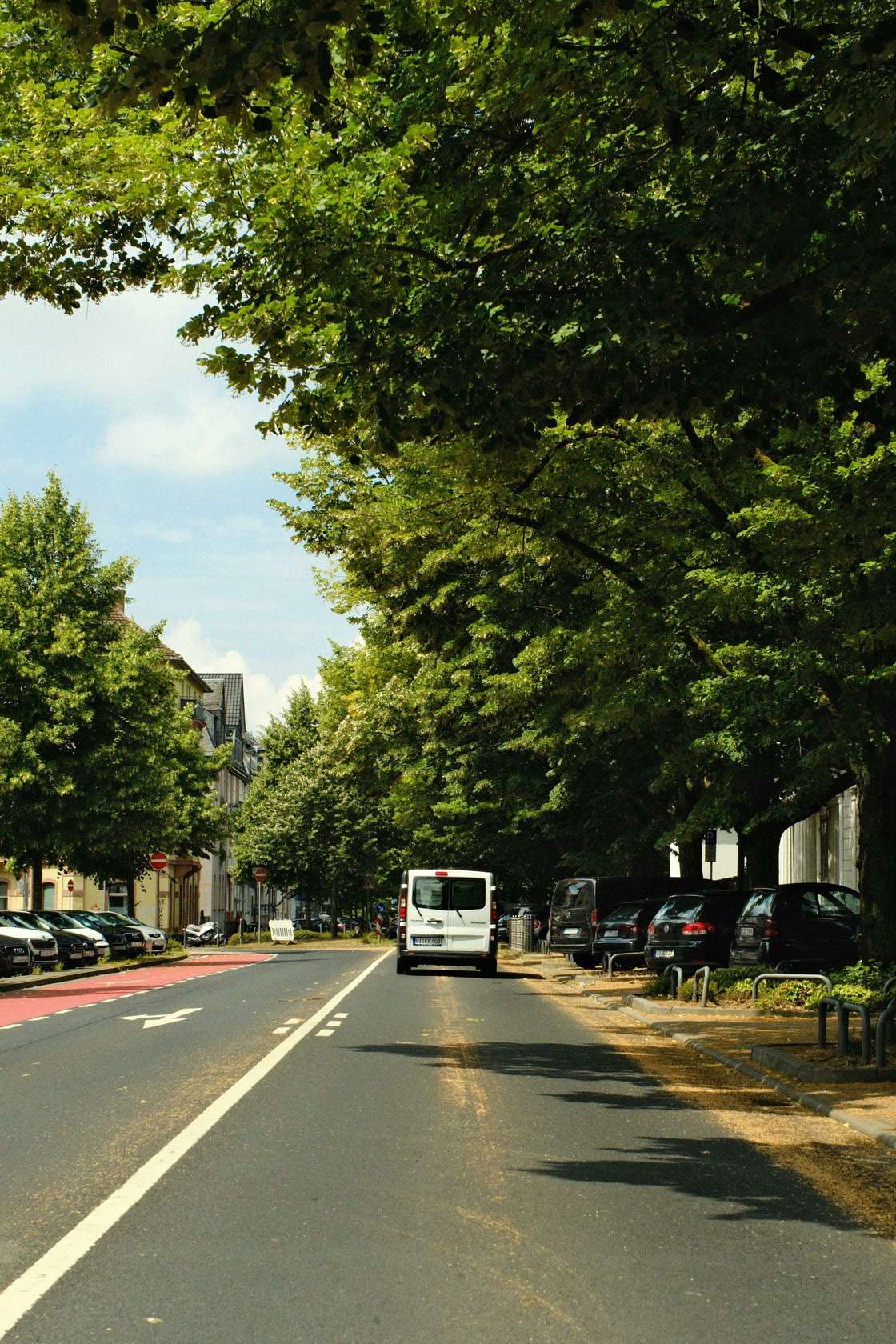A white van driving down a tree-lined road
